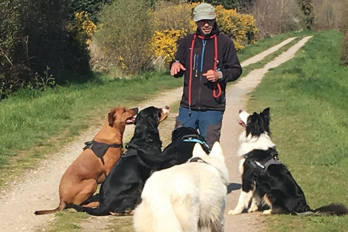 education-canine-a-pornic-pays-de-retz